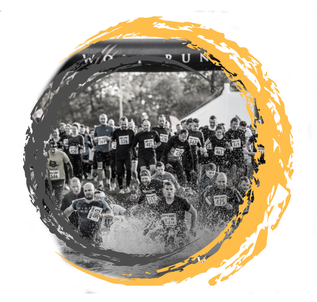 Wolf Run 2019 Donate 1 - The James Brindley Foundation